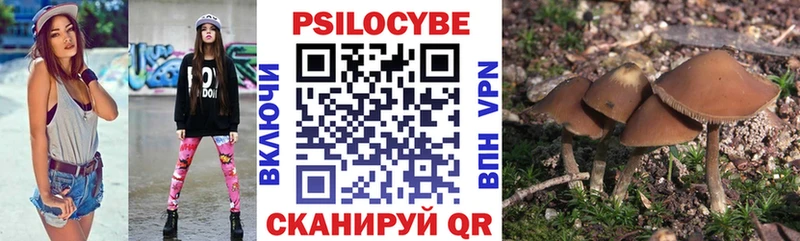 что такое   Заволжск  Псилоцибиновые грибы MAGIC MUSHROOMS 